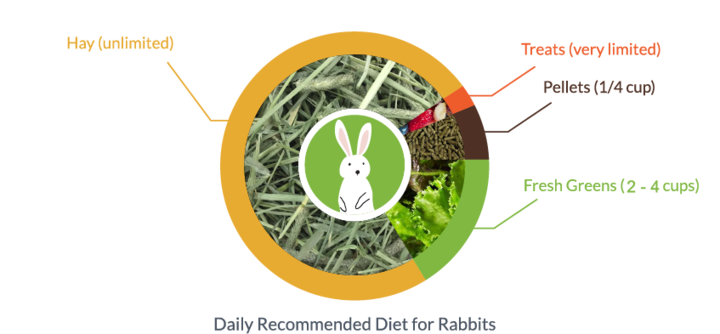Graph of Daily Recommended Diet for Rabbits chart