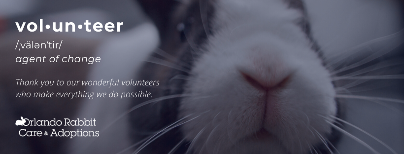 bunny with text, be a volunteer