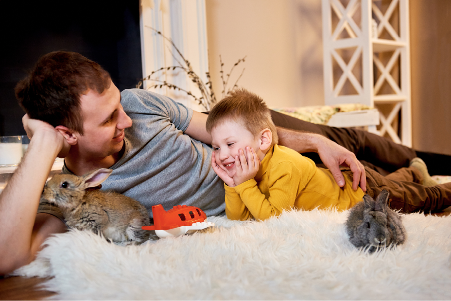 father and son enjoying two bunnies