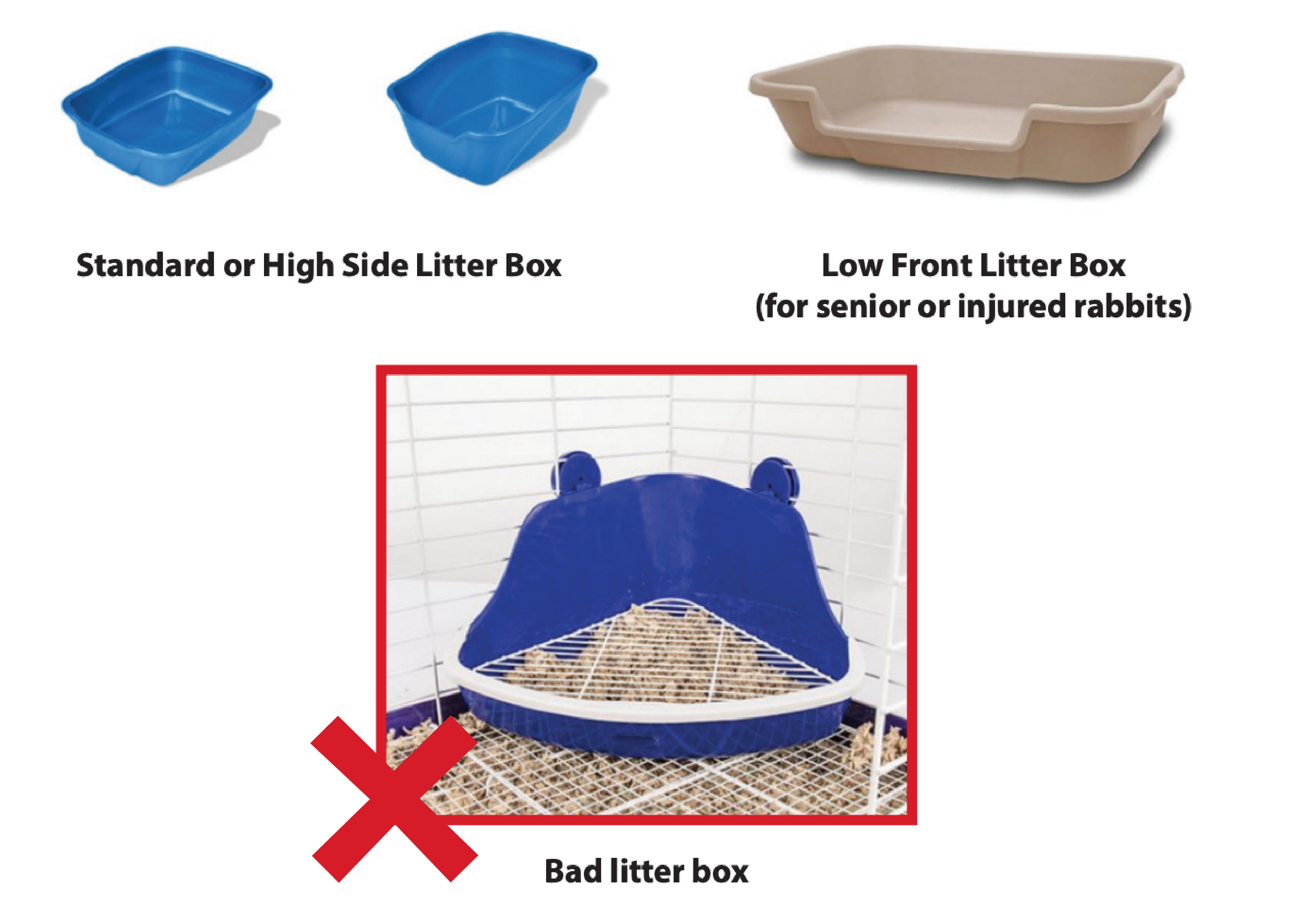 bad litter boxes