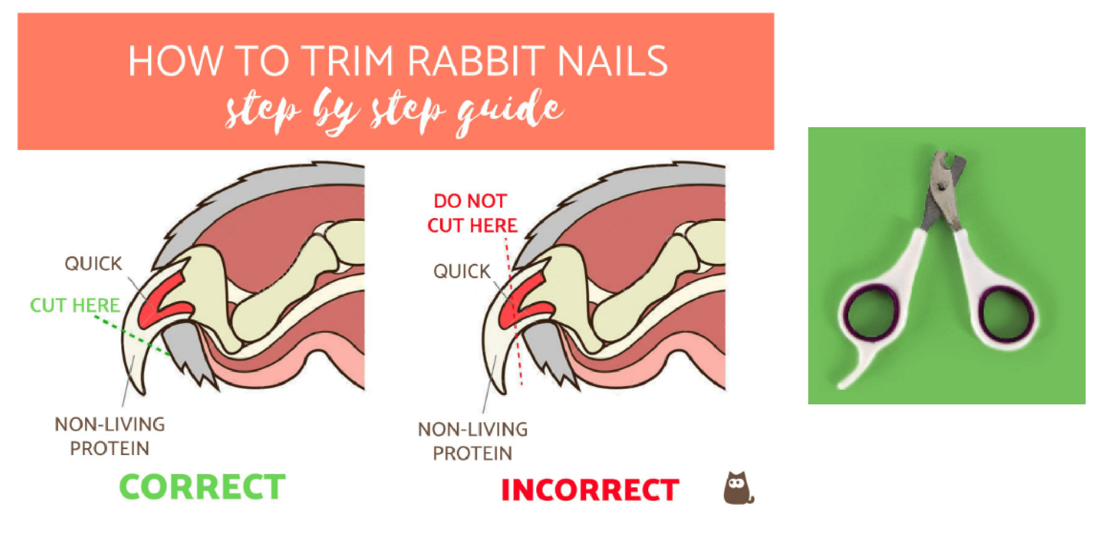 how to trim nails